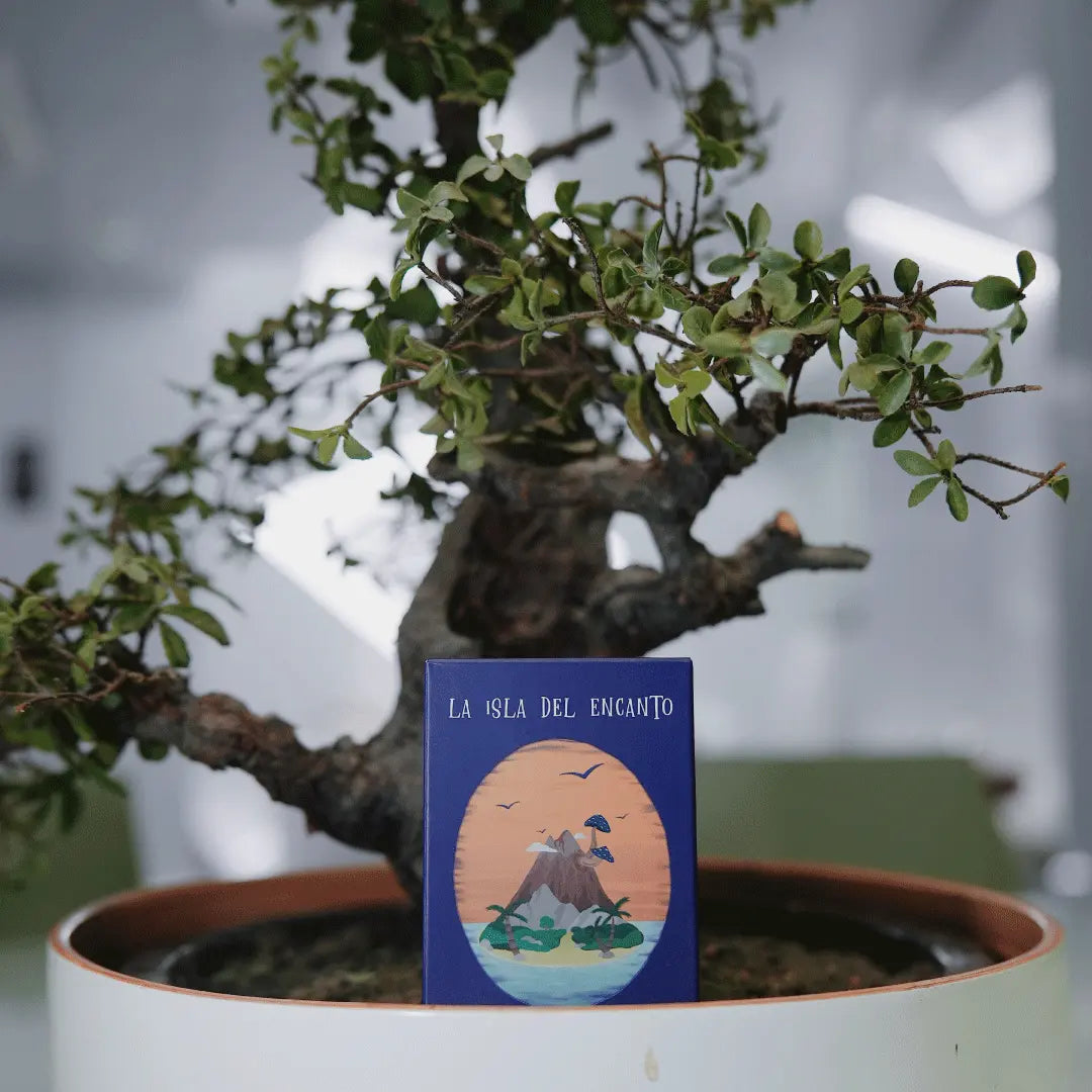 Juegos de cartas para beber, La isla del tesoro, Ligar, Juegos para ligar, Juegos de mesa, Coscu, La isla del encanto, Preguntas