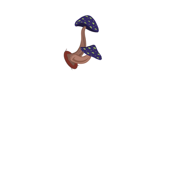 "Con el logo en la parte superior, Isla del Encanto te ofrece un juego de cartas divertido lleno de preguntas emocionantes que te mantendrán entretenido y desafiado".