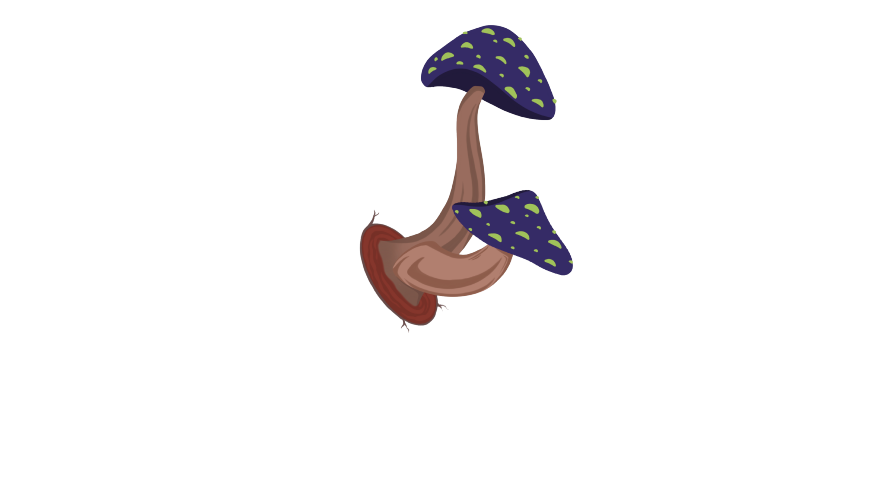 "El logo oficial de Isla del Encanto te invita a explorar un mundo de preguntas y cartas lleno de emoción y entretenimiento".